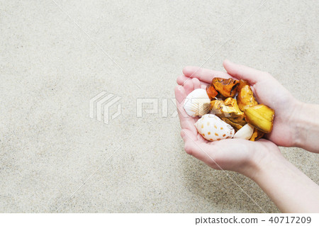 pieces of amber and seashells in female hands pieces of amber and seashells in female hands 40717209