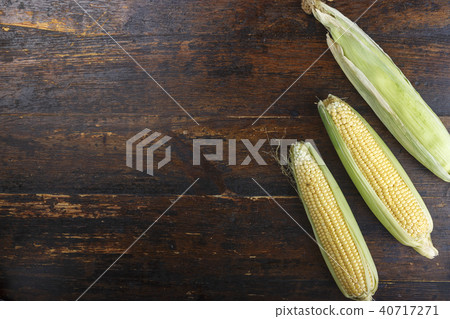 young corn place for text young corn place for text 40717271