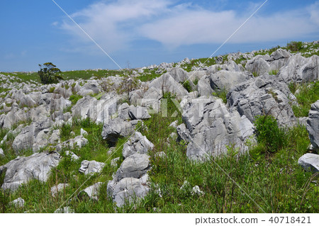Akiyoshidai的地獄立場 40718421