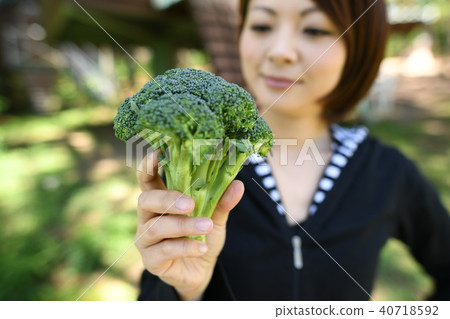 飲食食品西蘭花憲法改良蔬菜新鮮的綠色季節性森林 飲食食品西蘭花憲法改良蔬菜新鮮的綠色季節性森林 40718592
