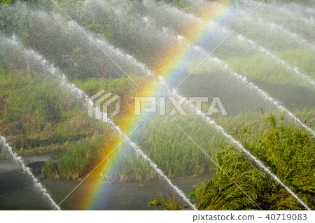 Rainbow, Dongdaemun-gu, Seoul 40719083