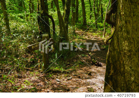 從Odairayama天文台進入房間（2018年5月） 40719793