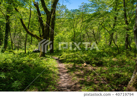 從Odairayama天文台進入房間（2018年5月） 40719794