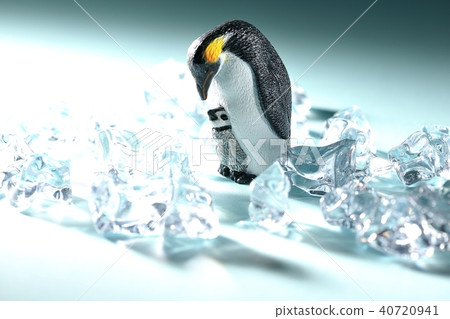 企鵝親子』 40720941