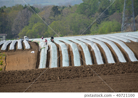 在北海道北海道的高地領域拍攝乙烯基房屋的景觀 40721100