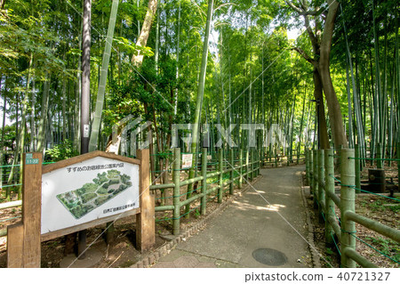 Himonya, Meguro-ku, Tokyo, Suzume no Oyado Ryokuchi Park Himonya, Meguro-ku, Tokyo, Suzume no Oyado Ryokuchi Park 40721327