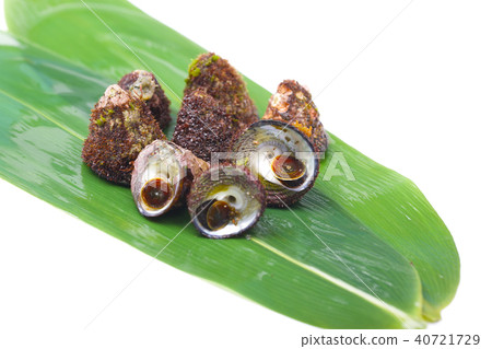 Bateira Sittaka 40721729