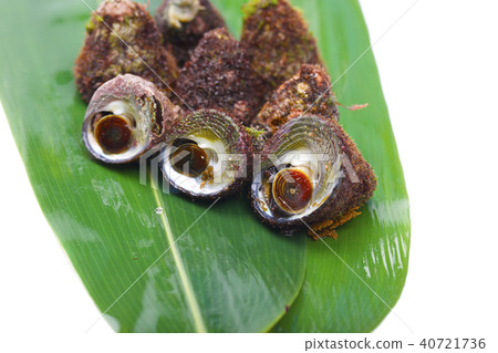 Bateira Sittaka 40721736