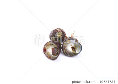 Bateira Sittaka Bateira Sittaka 40721781