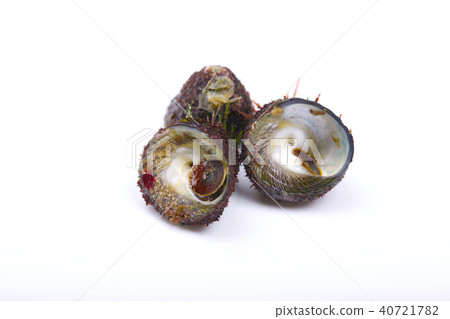 Bateira Sittaka Bateira Sittaka 40721782