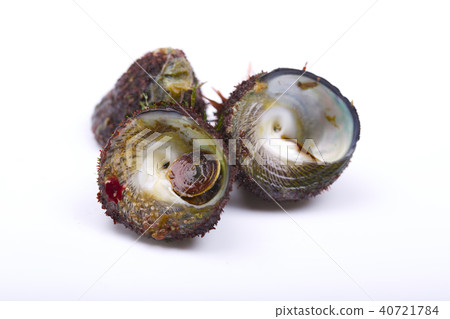 Bateira Sittaka 40721784