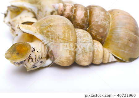 Etsuubai ingredients 40721960
