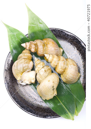 Etsuubai成分 Etsuubai成分 40721975