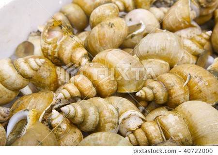 Etsuubai ingredients Etsuubai ingredients 40722000