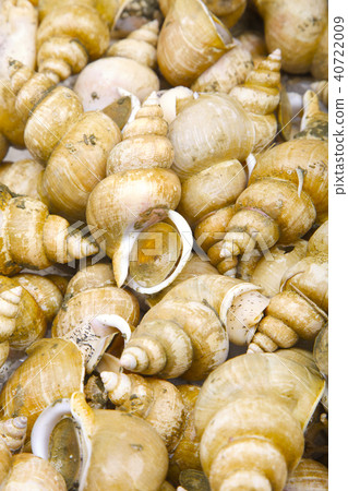 Etsuubai ingredients 40722009