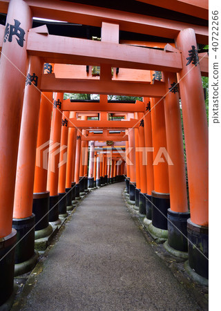 伏見Inari Taisha Inarizan Torii集團 40722266