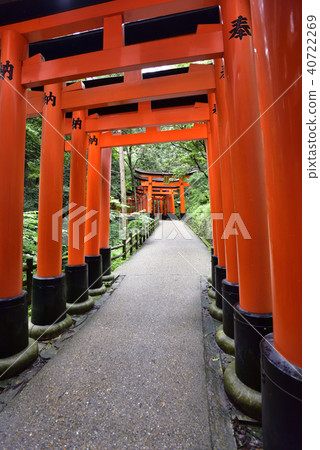 伏見Inari Taisha Inarizan Torii集團 40722269
