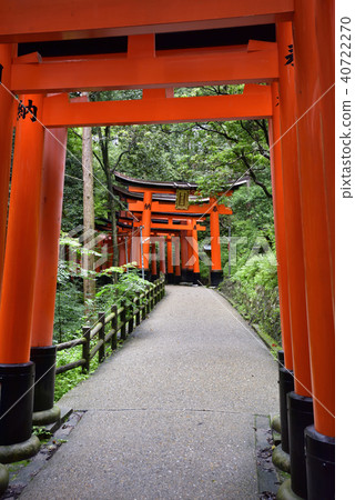 伏見Inari Taisha Inarizan Torii集團 40722270