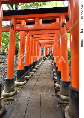 Fushimi Inari Taisha Inarizan Torii group 40722288