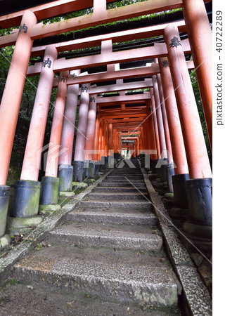 伏見Inari Taisha Inarizan Torii集團 40722289