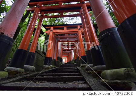 伏見Inari Taisha Inarizan Torii集團 40722308
