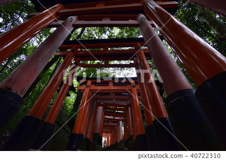 伏見Inari Taisha Inarizan Torii集團 伏見Inari Taisha Inarizan Torii集團 40722310