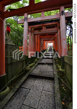伏見Inari Taisha Inarizan Torii集團 40722314