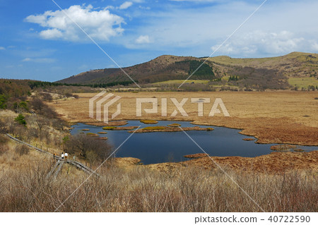 Hachijigahara Highland Marshland, Suwa-gun, Nagano Prefecture 40722590