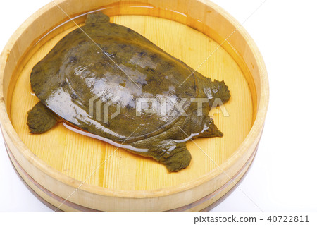 Suppo ingredients 40722811