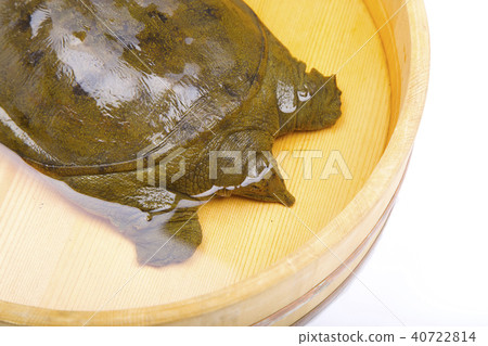 Suppo ingredients 40722814