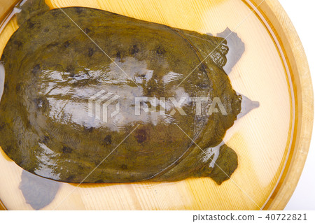 Suppo ingredients 40722821