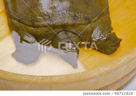 Suppo ingredients 40722828