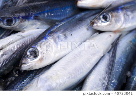 Homopterrhoe fruit ingredients 40723041