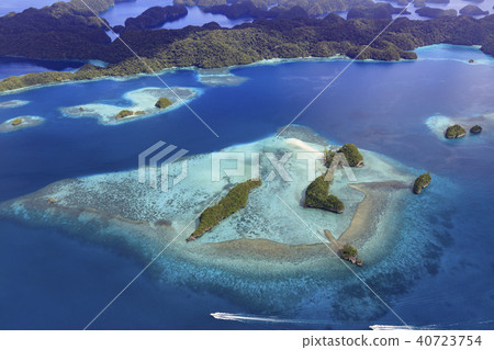 世界遺產帕勞珊瑚礁形狀的翼 世界遺產帕勞珊瑚礁形狀的翼 40723754