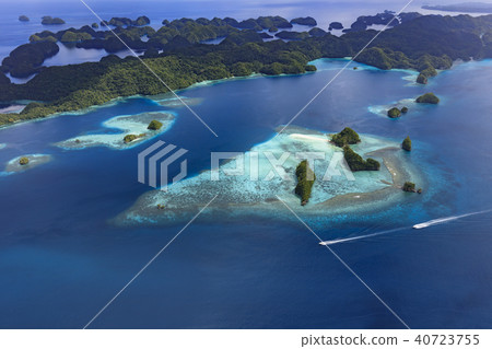 世界遺產帕勞珊瑚礁形狀的翼 世界遺產帕勞珊瑚礁形狀的翼 40723755