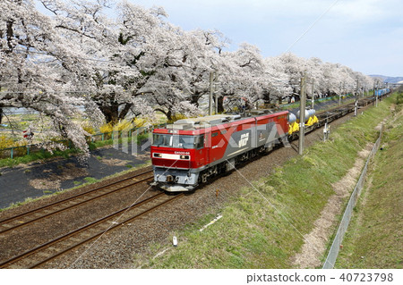 Container cargo of cherry blossoms and EH 500 40723798