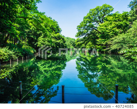 Tokyo Inokashira Park Tokyo Inokashira Park 40724085