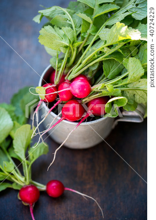 Radish in cup Radish in cup 40724229