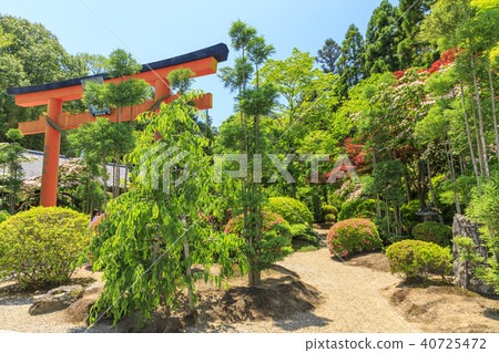 Reizan-ji Temple Shinnoku Satsuki Barafesta Reizan-ji Temple Shinnoku Satsuki Barafesta 40725472