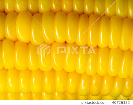 select focus of yellow corn. Nature for texture 40726323