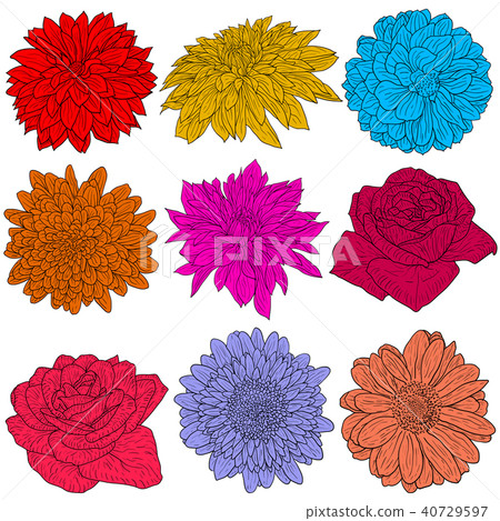 Beautiful color sketch flower on white background Beautiful color sketch flower on white background 40729597