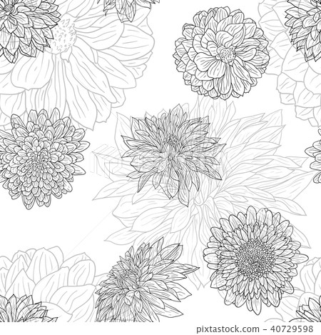 Beautiful monochrome sketch, black and white 40729598