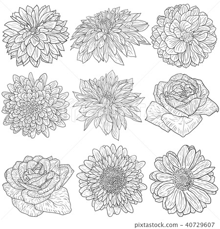 Beautiful monochrome sketch, black and white 40729607