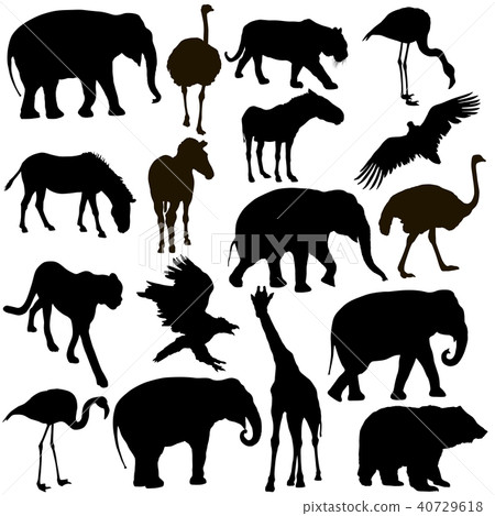 Silhouette elephant tiger bear giraffe flamingo Silhouette elephant tiger bear giraffe flamingo 40729618