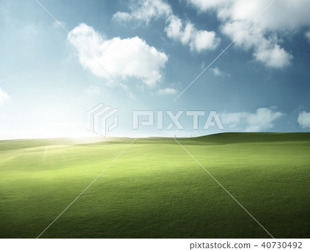 spring grass, golf field spring grass, golf field 40730492