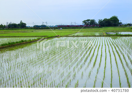 貨運列車和鄉村風光 40731780