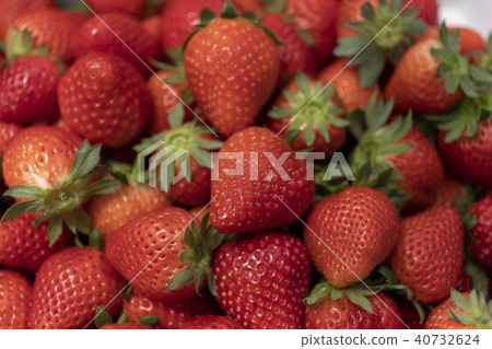 一個草莓 一個草莓 40732624