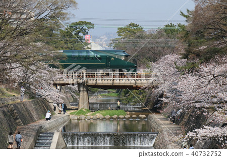 乘坐豪華火車暮光快車瑞夫，穿過淑川川中的櫻花 40732752