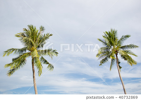 Vacation on beach. Vacation on beach. 40732869