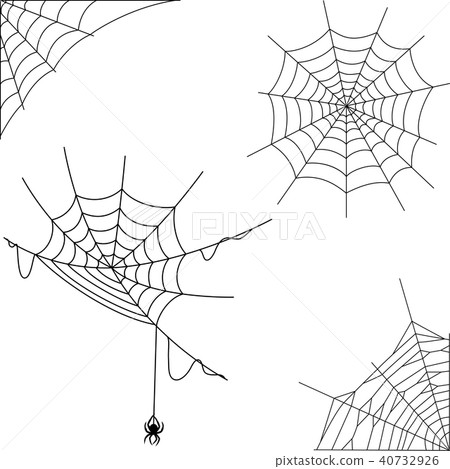 silhouette spiderweb on isolated on white backgrou silhouette spiderweb on isolated on white backgrou 40732926